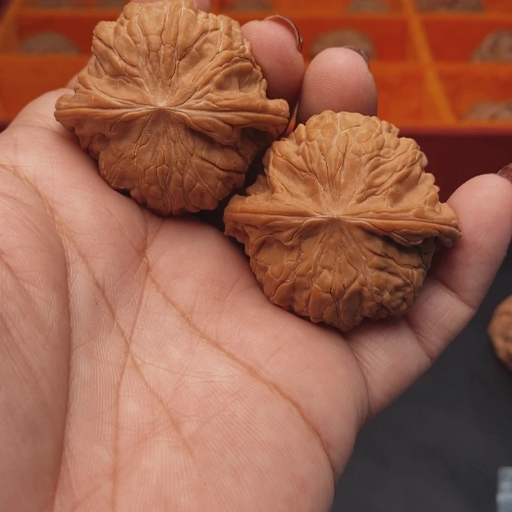核桃磨盘43尺核桃