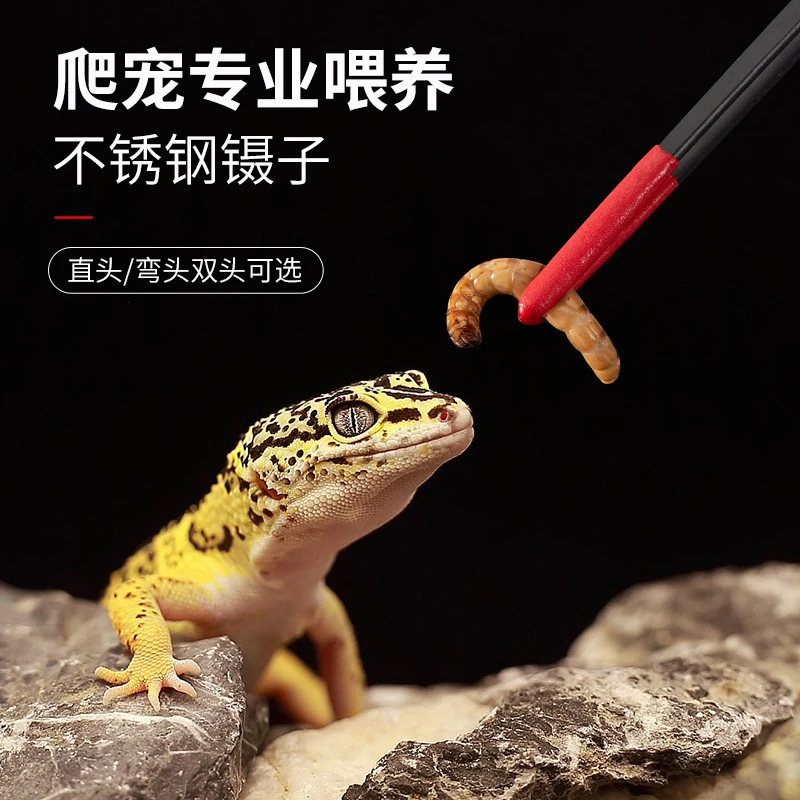 守宫爬宠角蛙龙鱼仓鼠宠物喂食镊子加长不锈钢喂食器喂食夹子