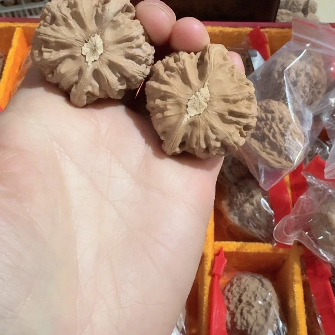 ?****.玉玺宫灯狮子头