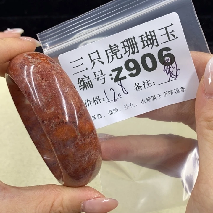 硅化珊瑚（珊瑚玉）1未镶嵌H**H