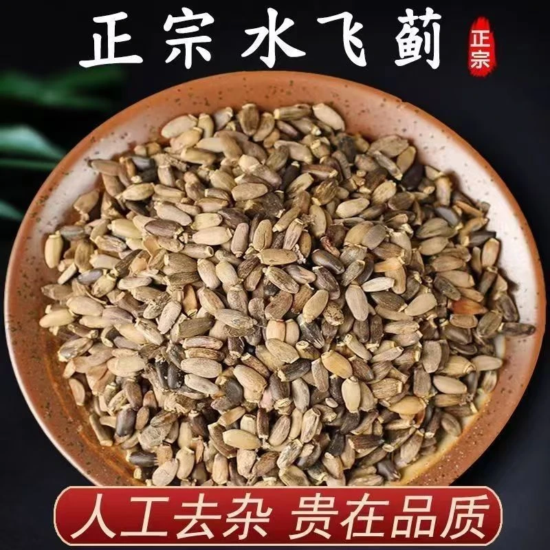 【水飞蓟】云南大山自然晒干无熏硫水飞蓟奶蓟籽正品
