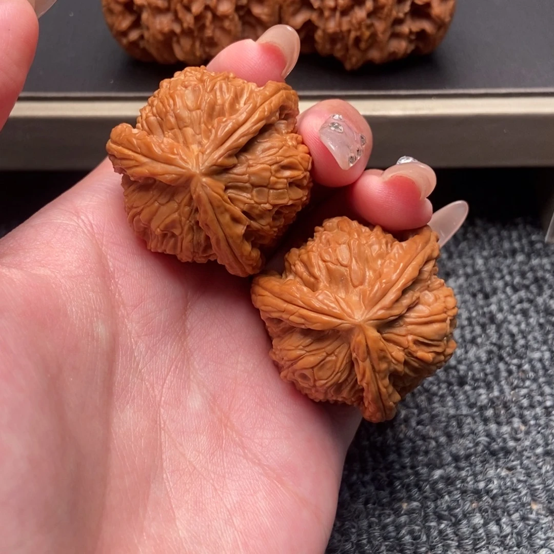 渤***阳木质类白狮子正奔