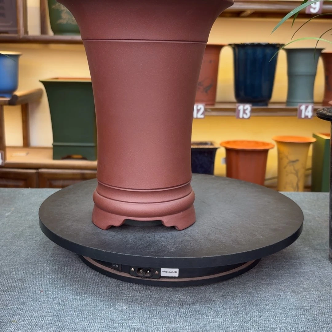 紫砂花盆陈*方兰花846464848466464645