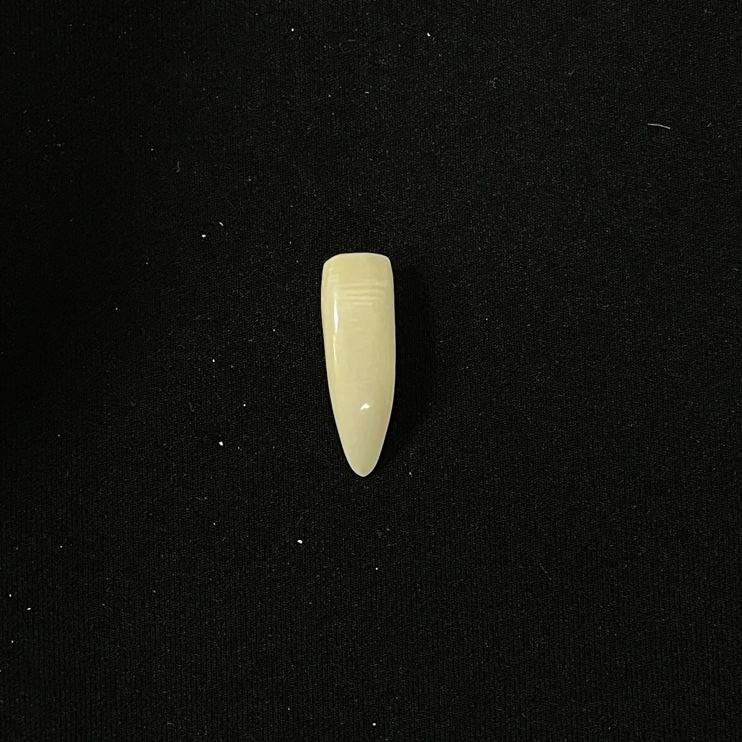 PJA58 素牙尖 只做天然猛犸牙