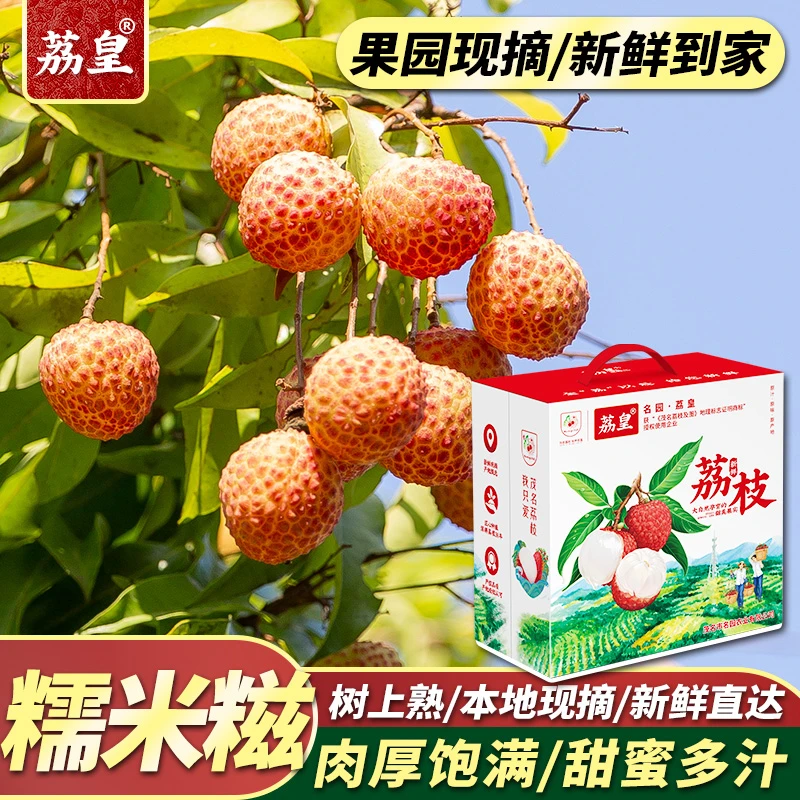 【荔皇】广东茂名糯米糍荔枝4.5斤礼盒装果园新鲜水果