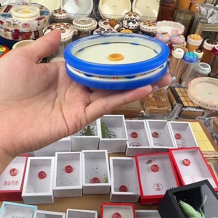 蟋蟀张叽叽万体一个