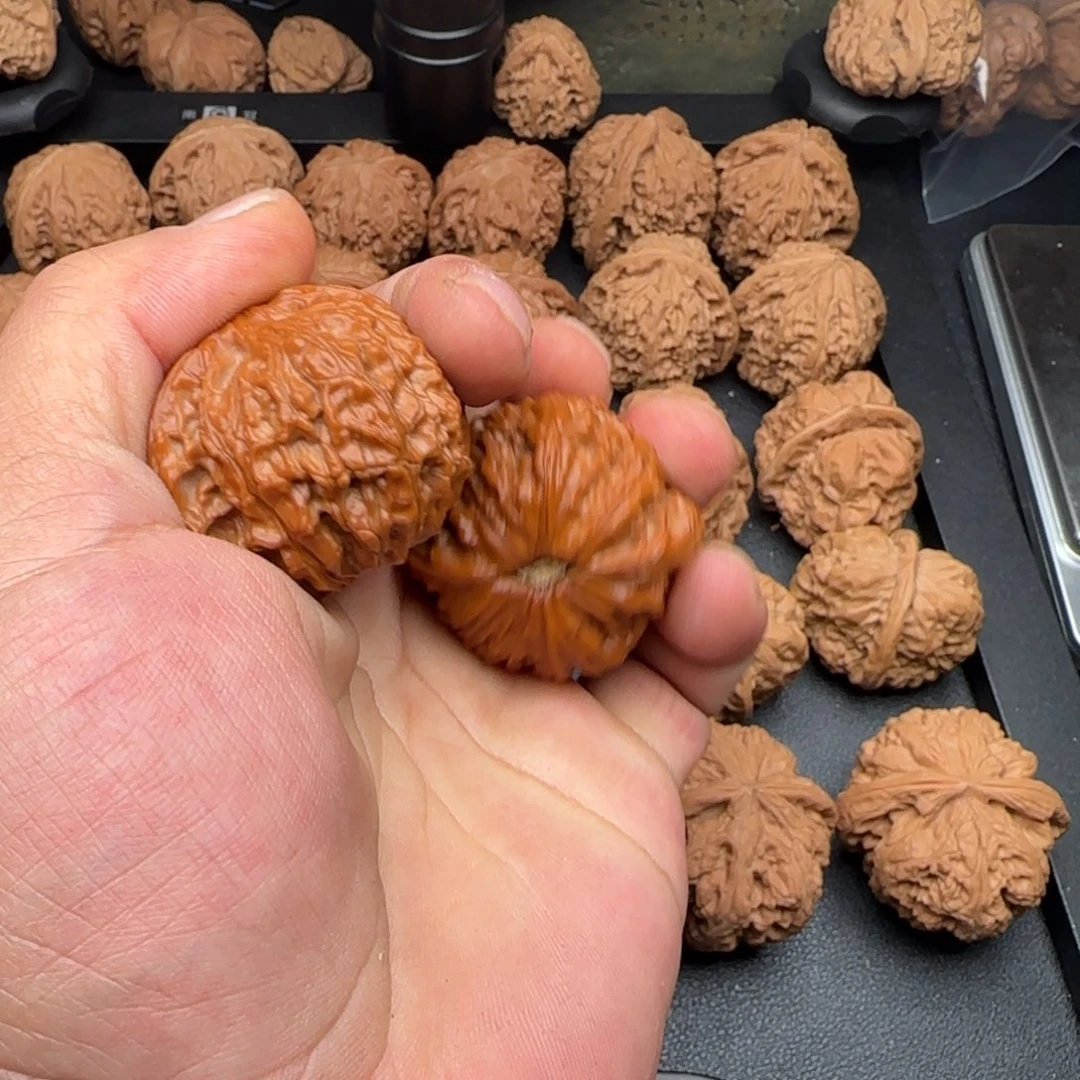 玩***i43尺磨盘肚有修打底