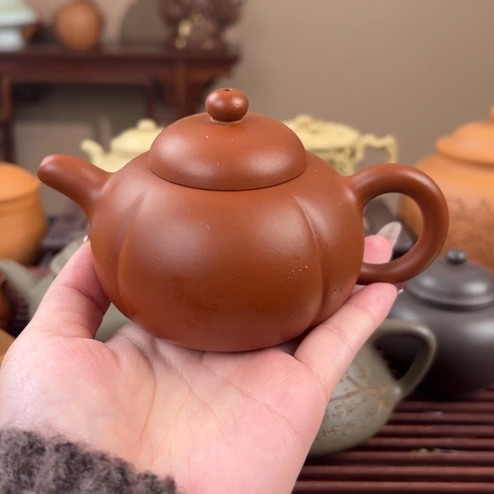 在***️紫砂茶壶宽口赵庄朱泥筋纹南瓜200cc