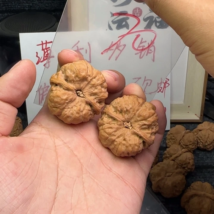 核桃手串/手链25599888788899888