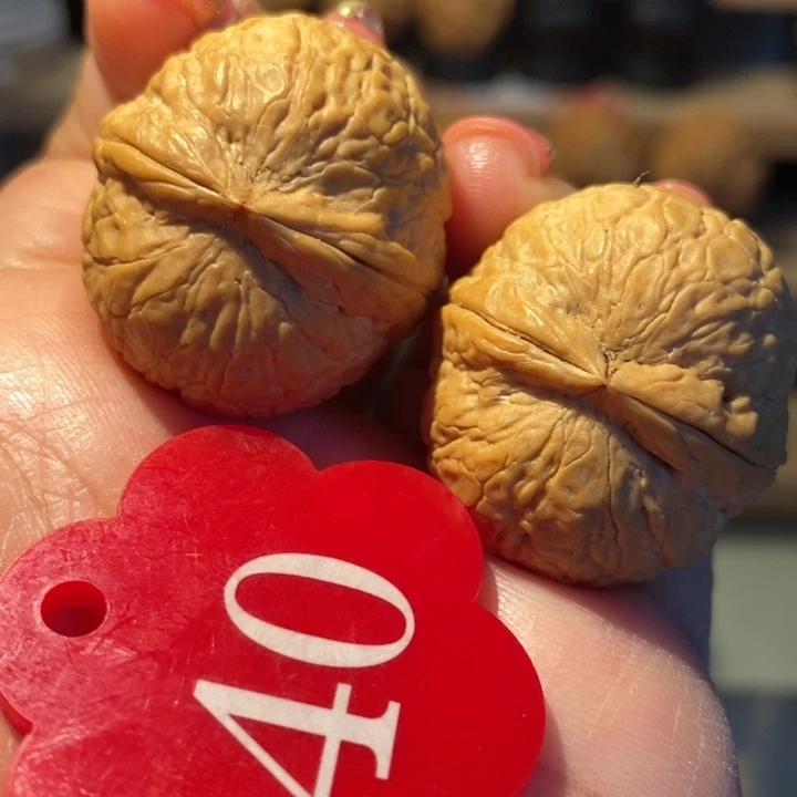 铁核桃粗筋蛇皮球30尺寸