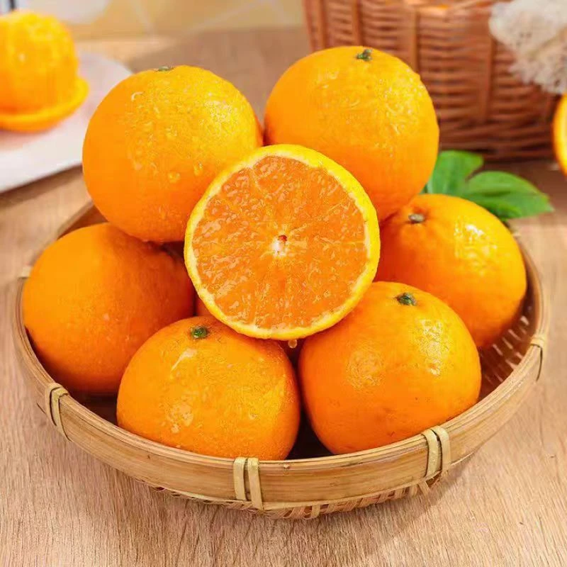 四川眉山青见果冻橙新鲜水果产地直发