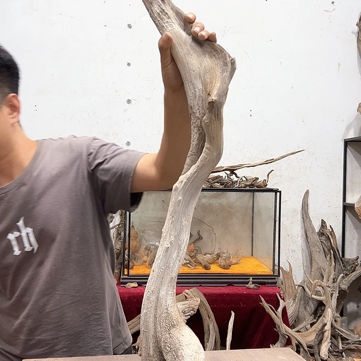 柏木崖***工我们都是好孩子呀我也是