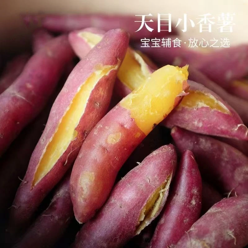 【陈氏阳光】海南小香薯4.5斤软糯香甜代餐宝宝辅食番薯新鲜小香薯海南省