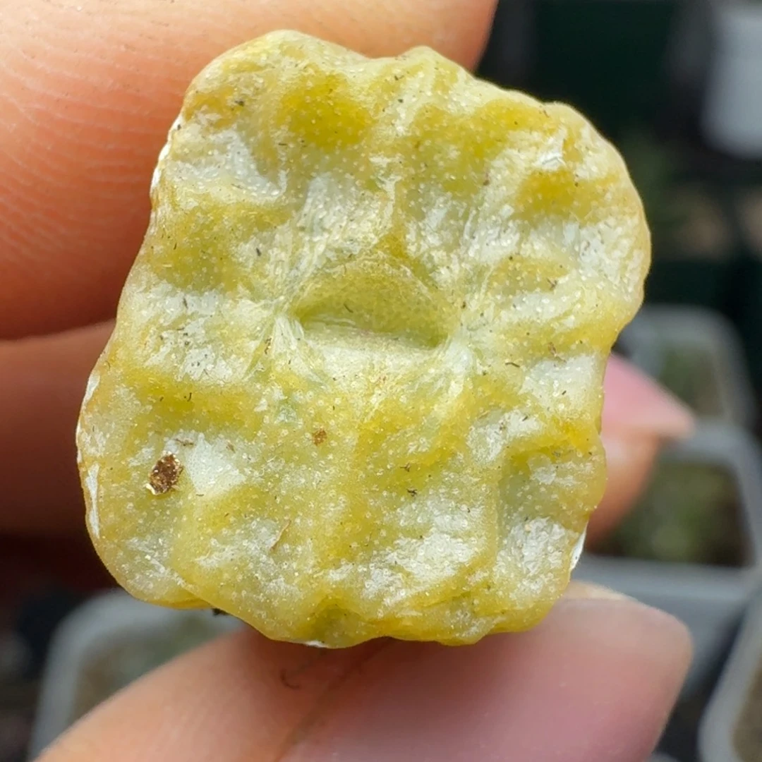 270烧卖1410.654。