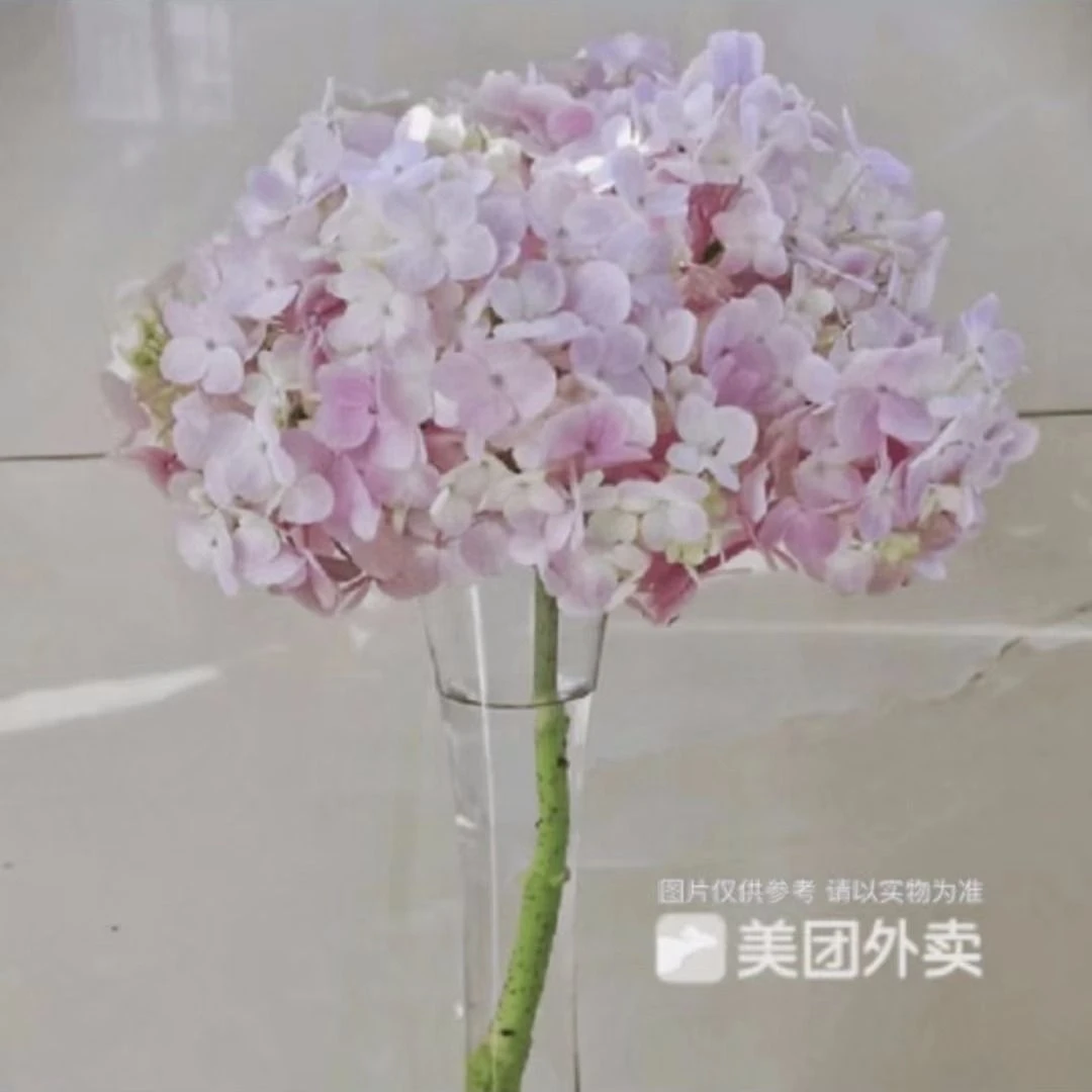 【粉色绣球1枝】不含花瓶