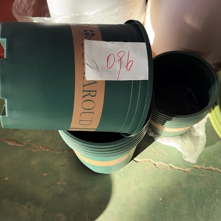 编号是096号的096号的