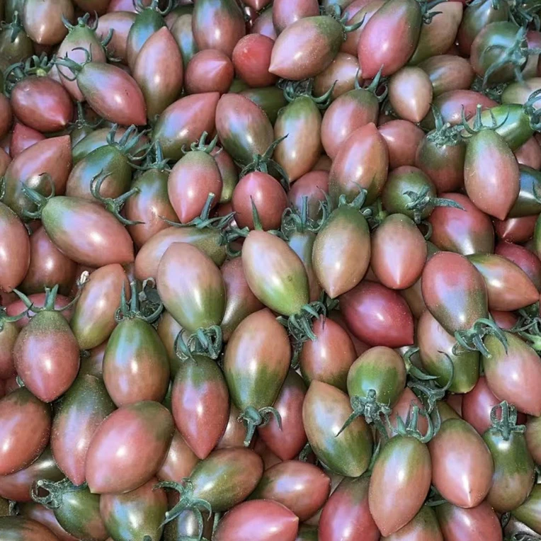 陆丰陂洋紫弹头小番茄酸甜脆口