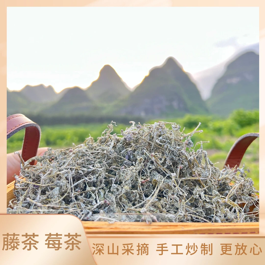 广西桂林野生藤茶 莓茶 霉茶