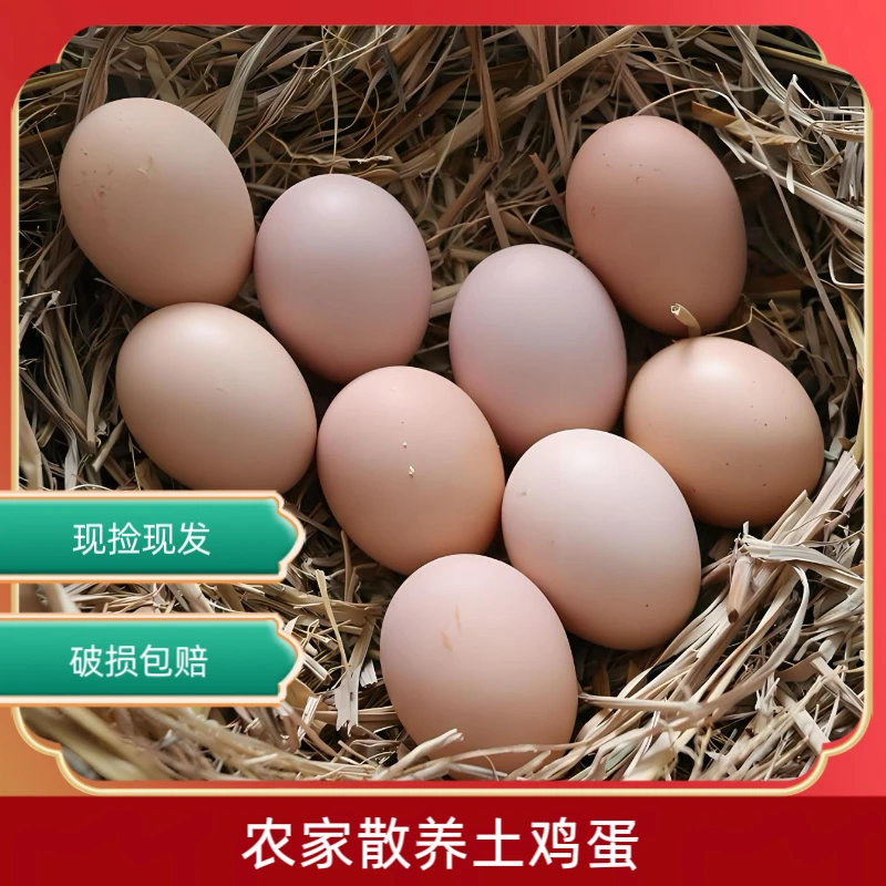 「顺丰包邮」东北散养土鸡蛋小笨鸡鸡蛋鲜鸡蛋