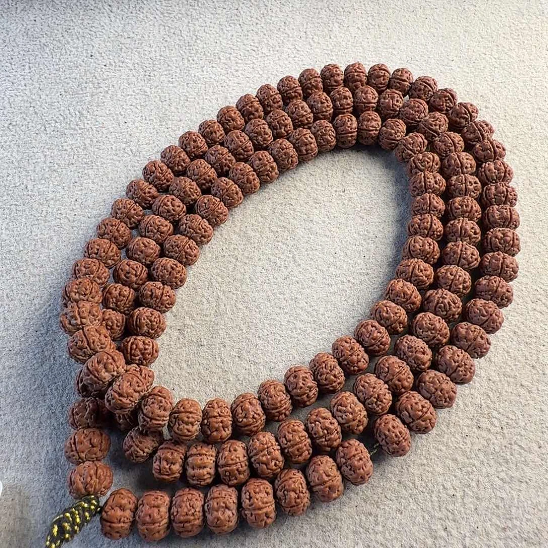 吊坠金刚菩提头货老树王8.6