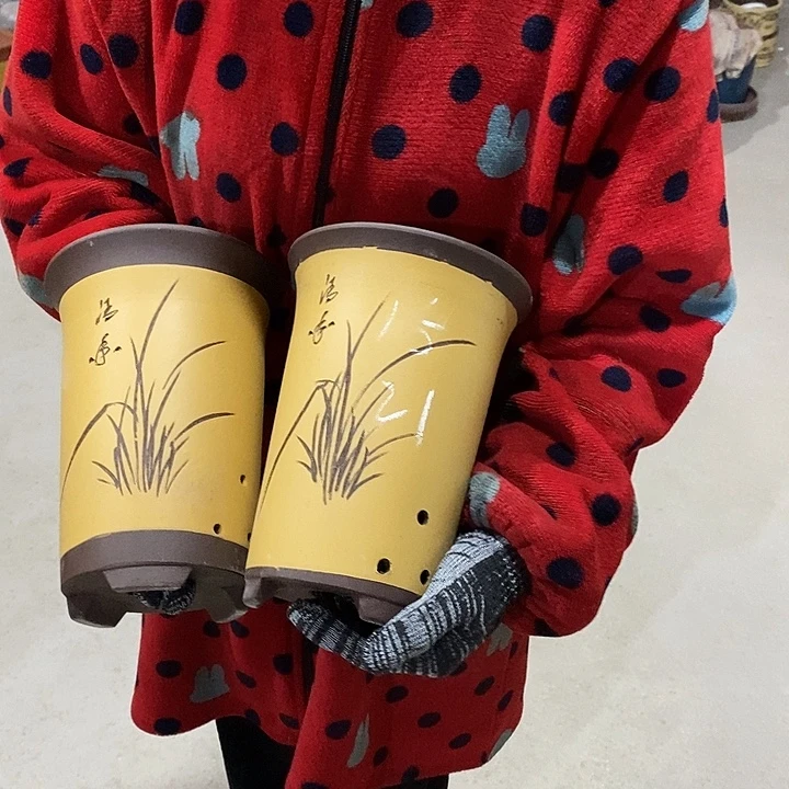 紫砂花盆紫砂花盆