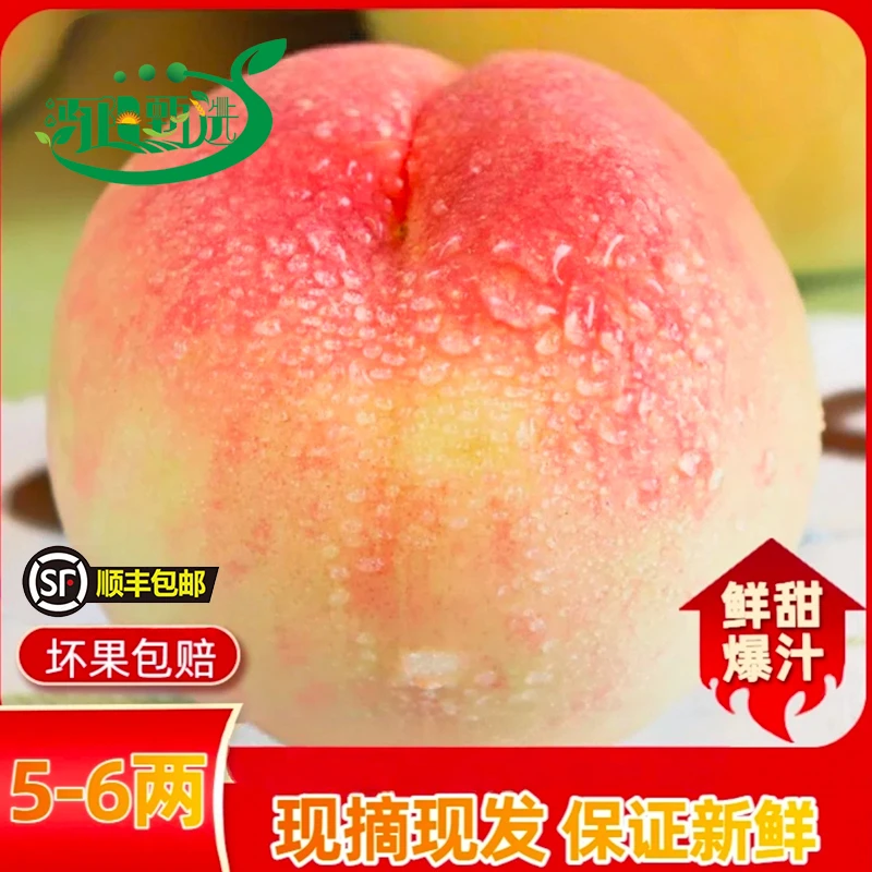 【5-6两大果】正宗白凤水蜜桃新鲜当季水果礼盒装爆汁水蜜桃