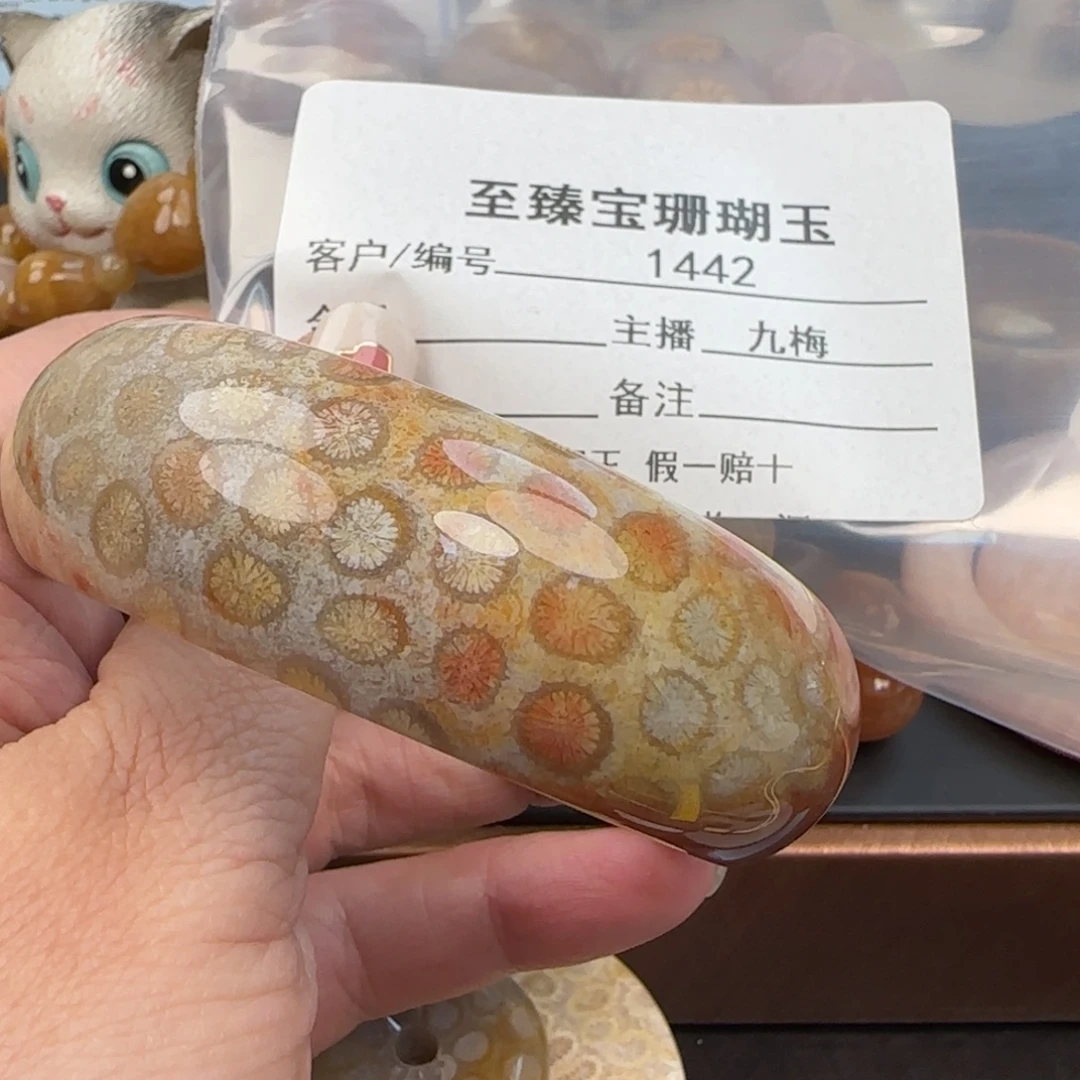 叶***梅硅化珊瑚（珊瑚玉）未镶嵌颈饰