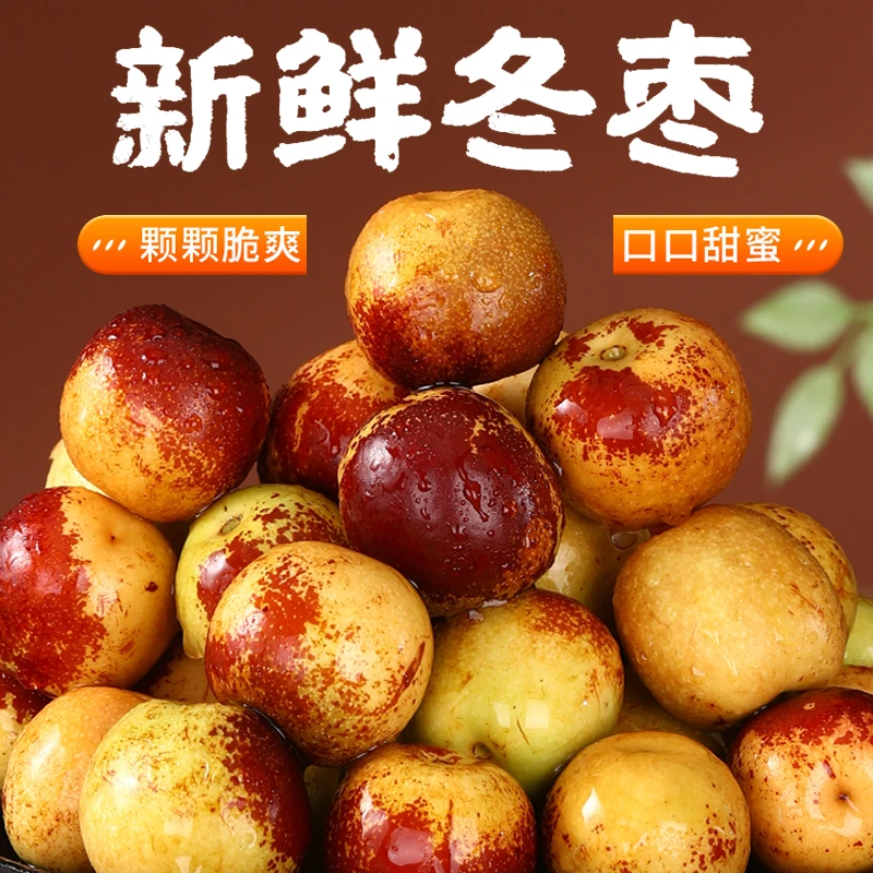【高品质顺丰】正宗山西庙上冬枣现摘现发应季新鲜水果冰糖脆甜D