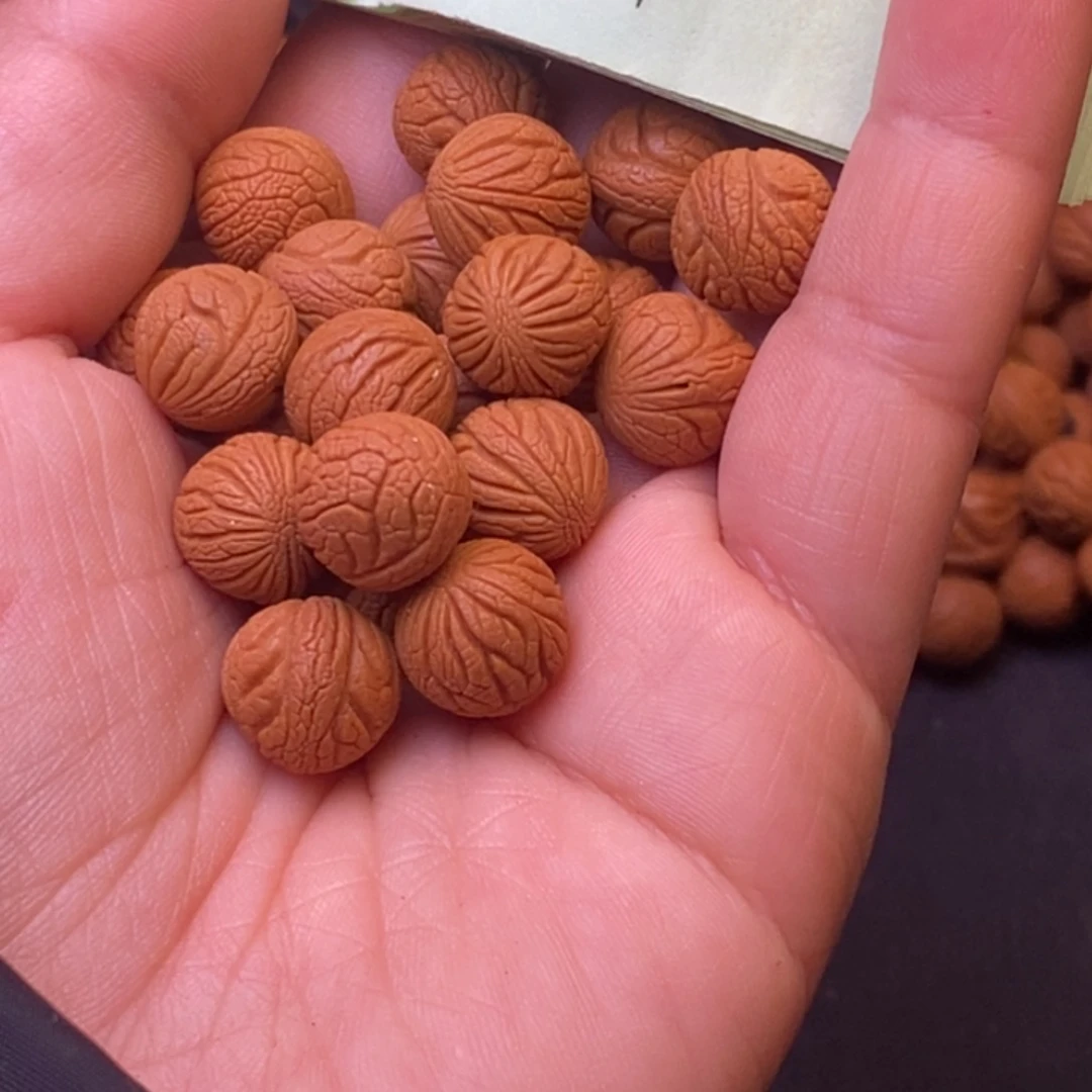 秦岭龙纹桃核21颗