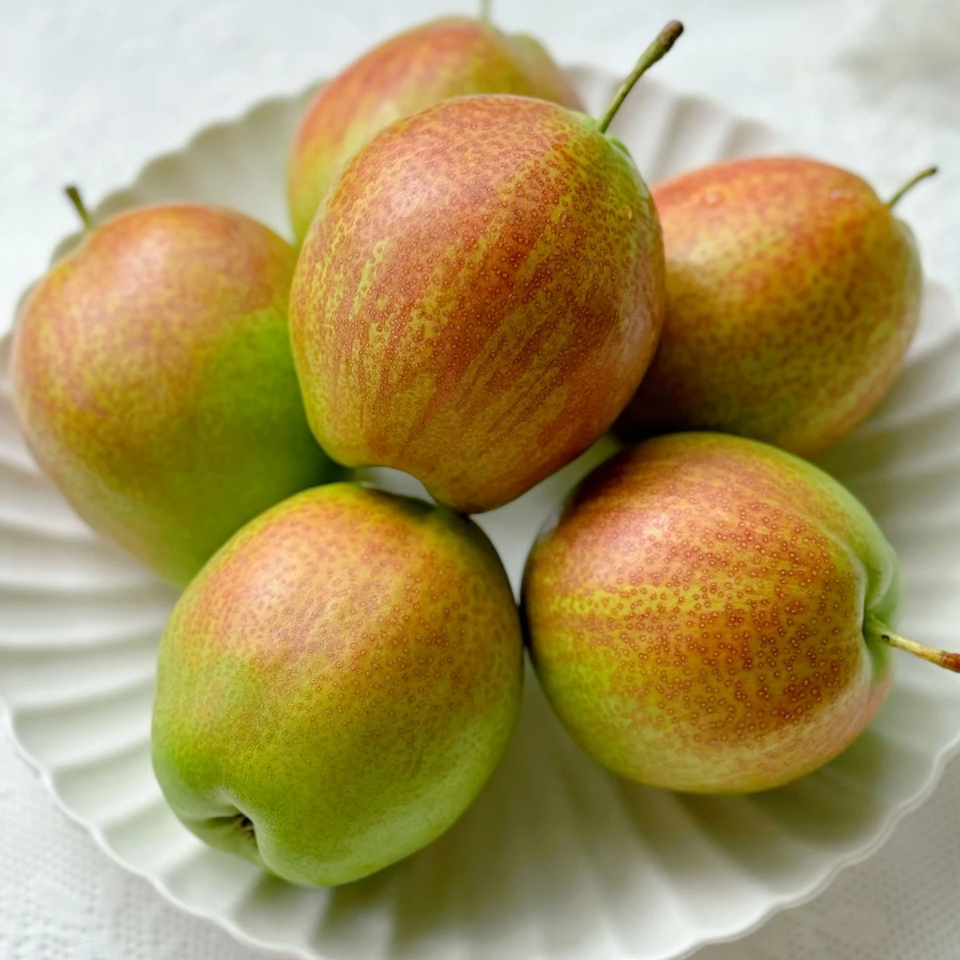 【大师哥专属】山东阳信正宗媚梨7号 清甜酥脆 皮薄多汁