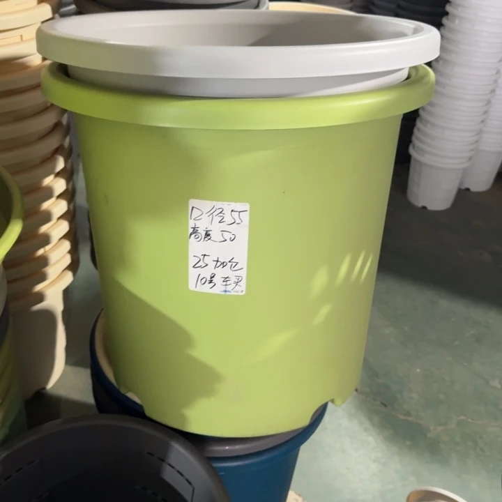 口径55无托果绿2个