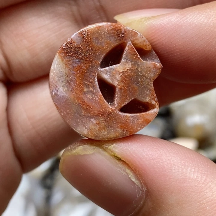 颈饰未镶嵌硅化珊瑚（珊瑚玉）小