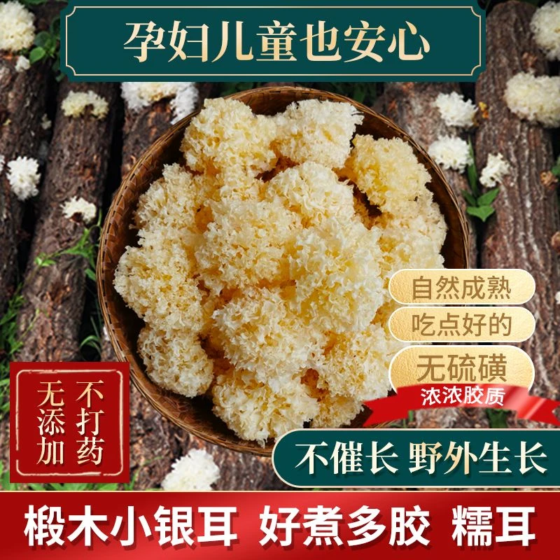 椴木小银耳软糯多胶古田农家特产干货椴木银耳糯耳银耳羹健康食材