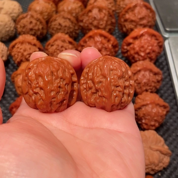 把件文玩核桃33.5尺寸狼牙1559