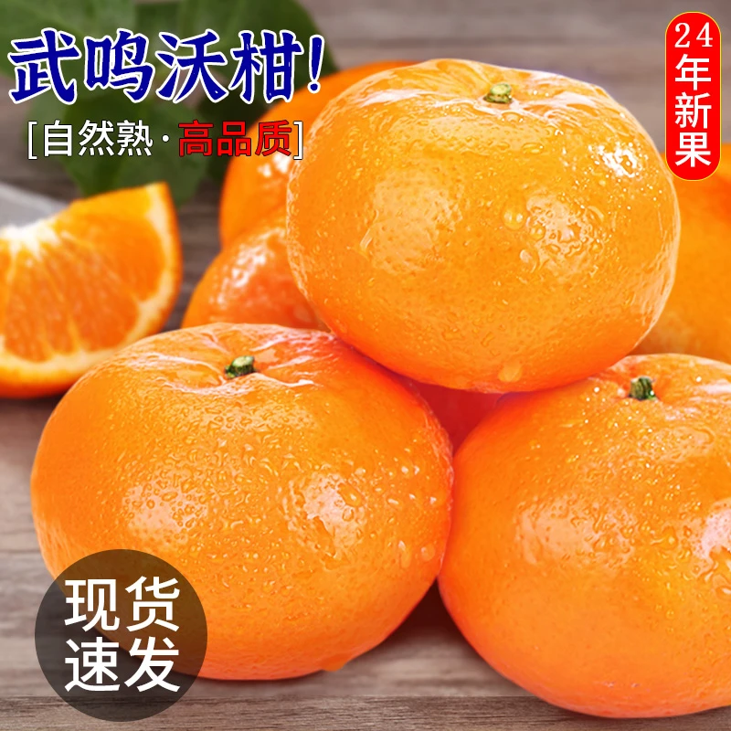 【果园直发】正宗广西武鸣沃柑皮薄肉厚汁水多当季水果园新鲜现摘ZH