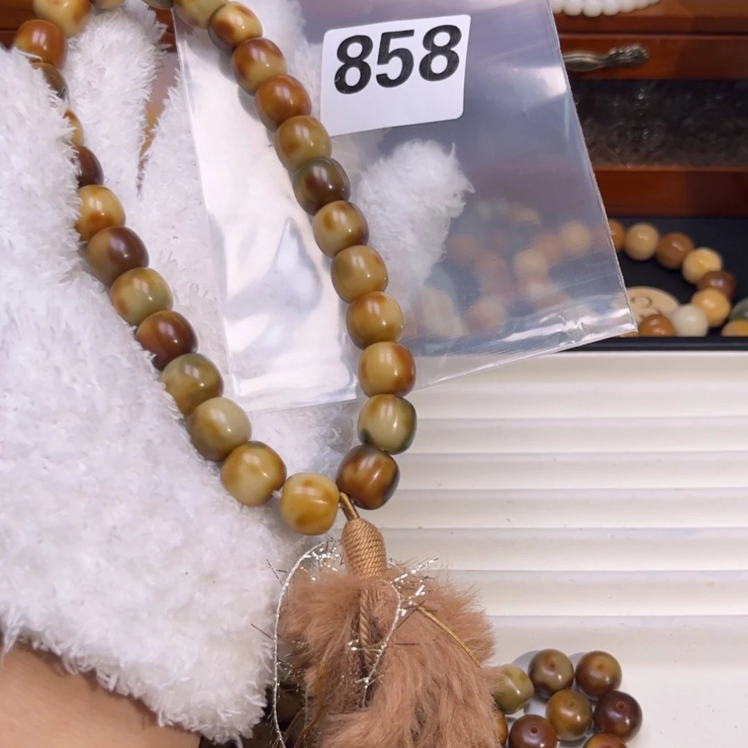 菩提根/象牙果吊坠我***果858