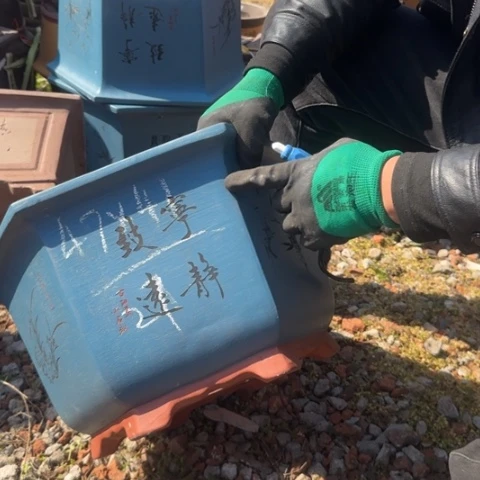 紫砂花盆紫砂花盆盆景盆栽