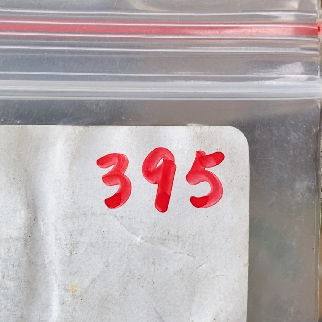 狼****吊坠龙脊菩提德宝文玩直播间专属链接