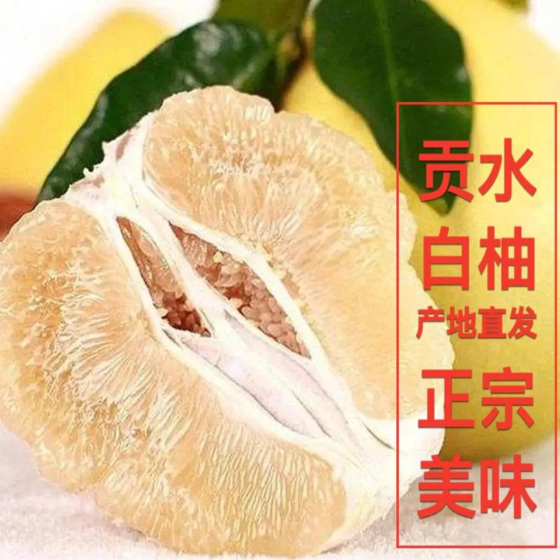农家种植 湖北恩施贡水白柚 2个 现摘现发