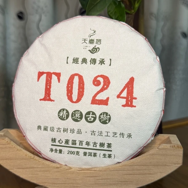 2024年古树普洱生茶春茶T024春200克