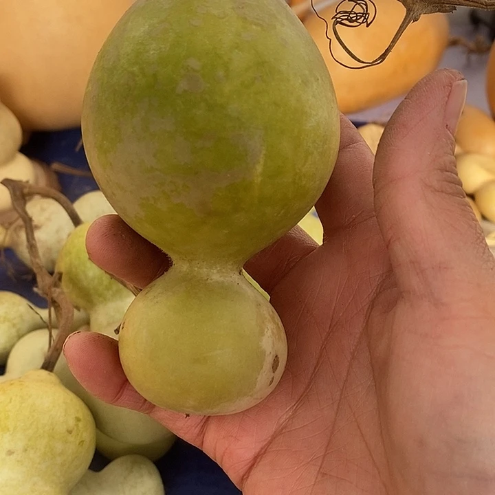 美***嗷青皮葫芦手把件摆件