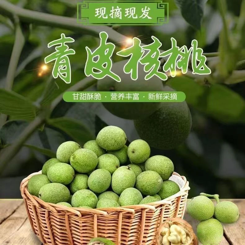 2025新鲜青皮核桃现货现发五斤包邮带工具带青皮鲜核桃