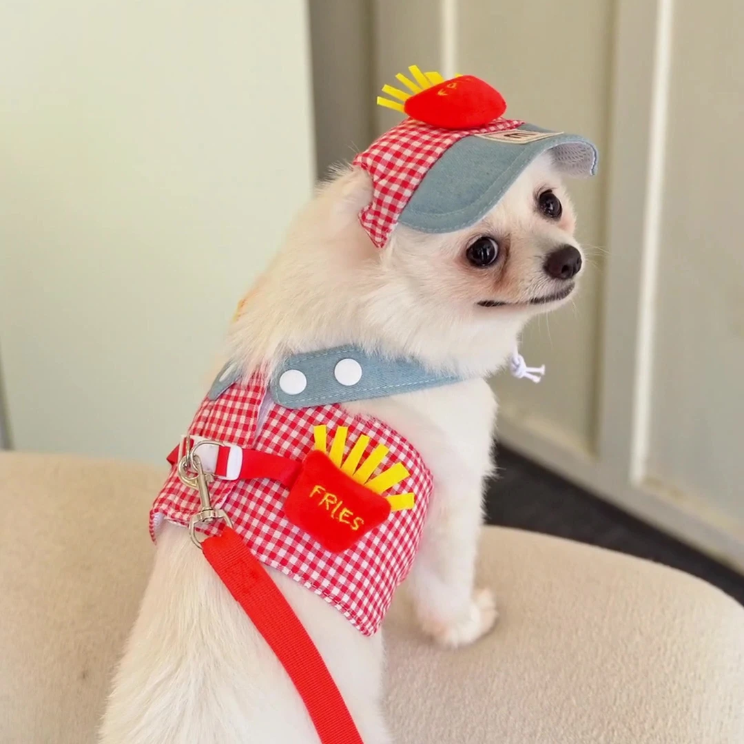 薯条宠物胸背牵引绳四季款猫咪小狗狗衣服郊游外出遮阳帽用品