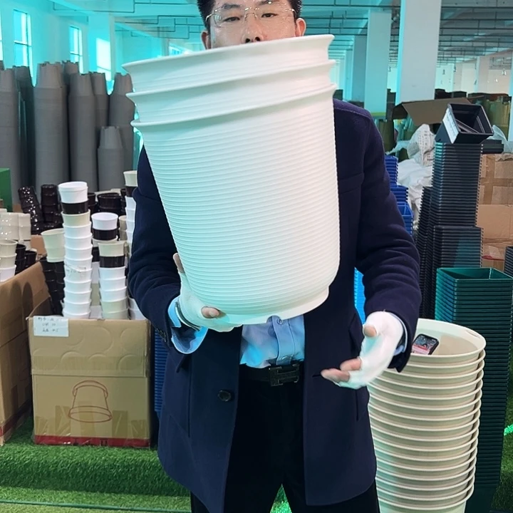正品高陶口30高31白色3只无托