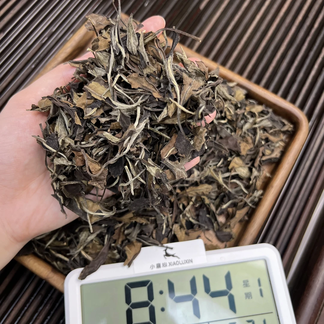 2008福鼎白茶老贡眉  ① 小鹿收茶 白茶 传统工艺 6月16