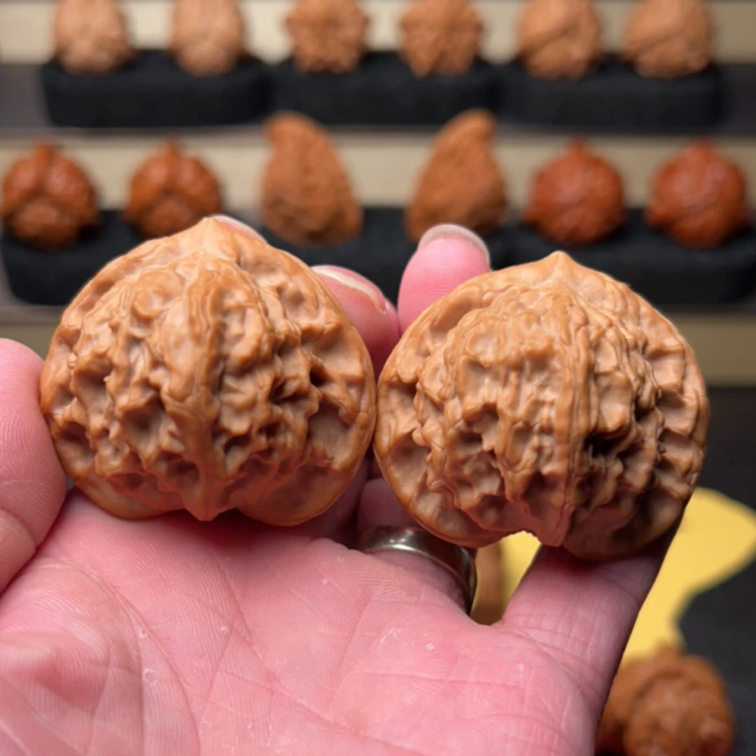 45全品筷子棱大耳朵图图