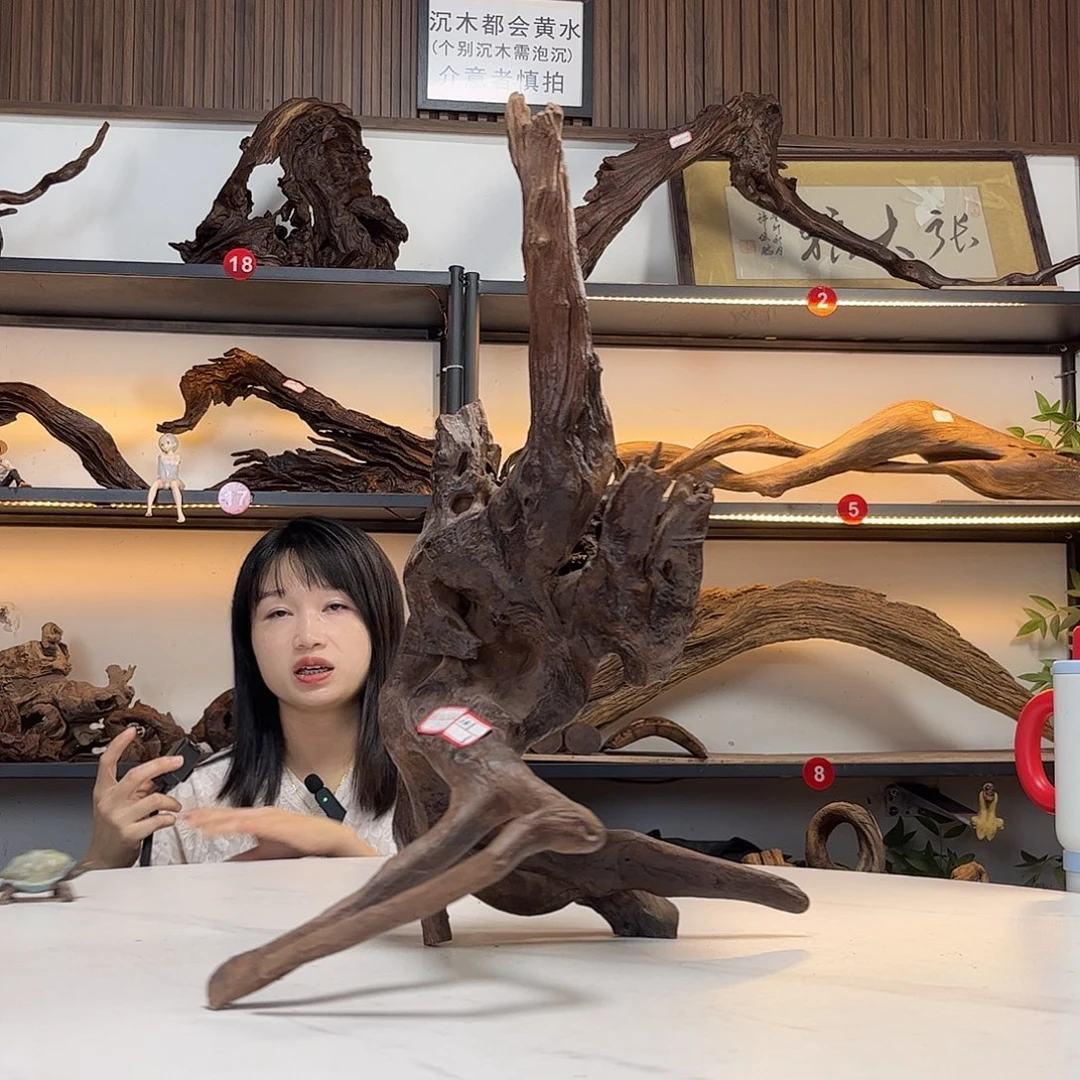 来***脑长42高54。