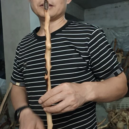 奥***鑫稳定木高山 檬子木文玩料