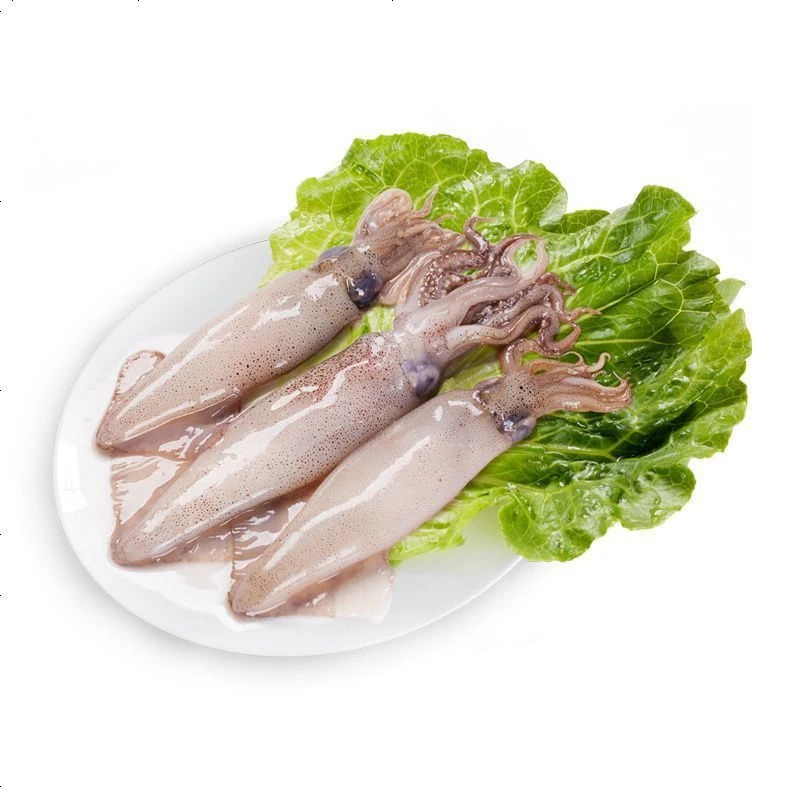 新鲜 笔管鱼 1.2斤/份