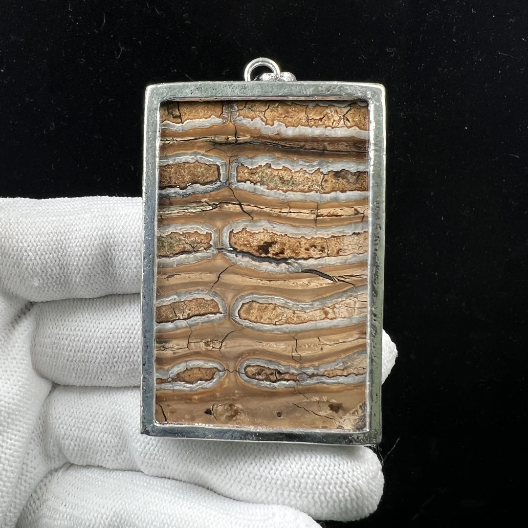 N1401天然猛犸牙 臼齿461无事牌 70g支持鉴定 假一罚四